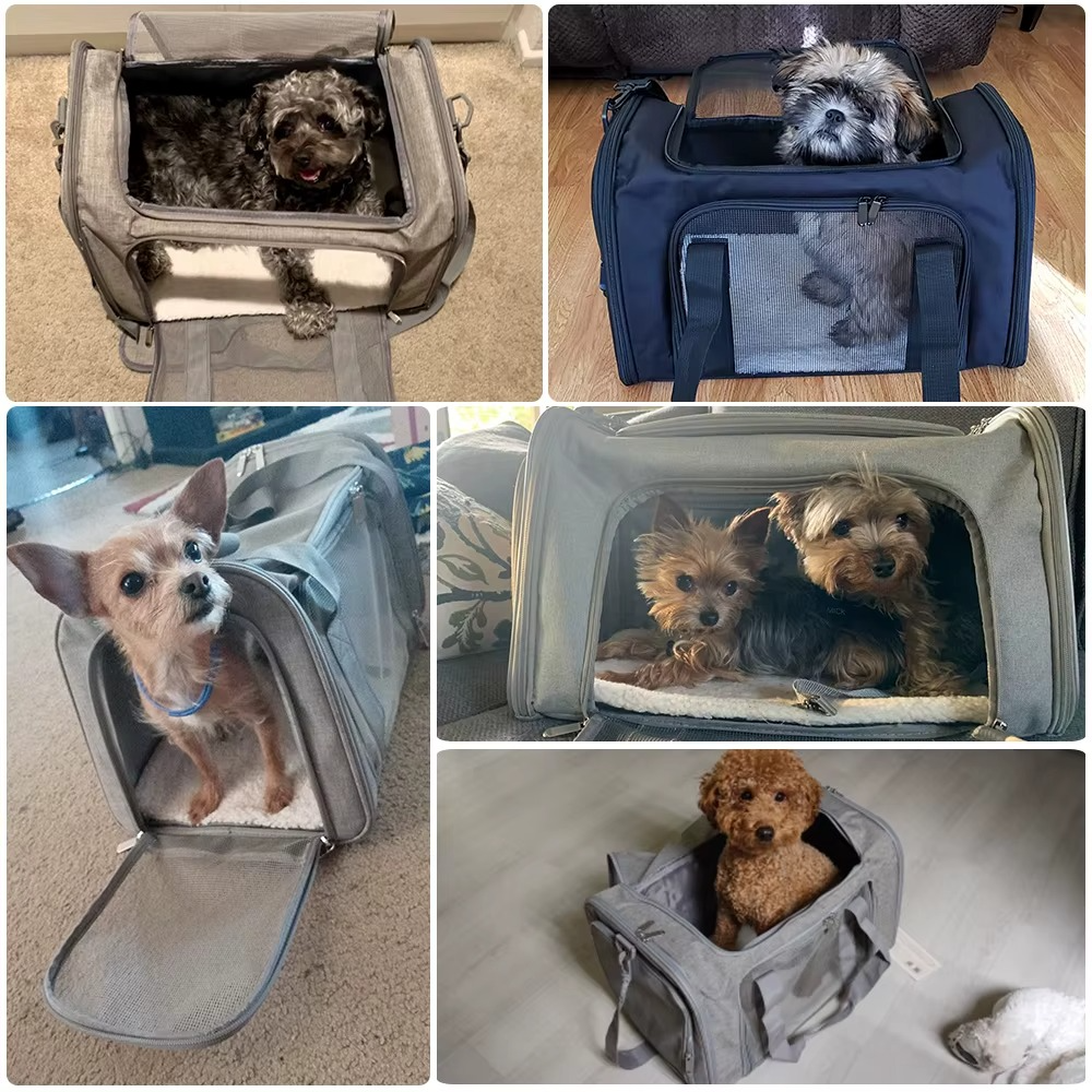VoyagerPro™ - Airline-Approved Waterproof Pet Carrier Bag & Travel Backpack
